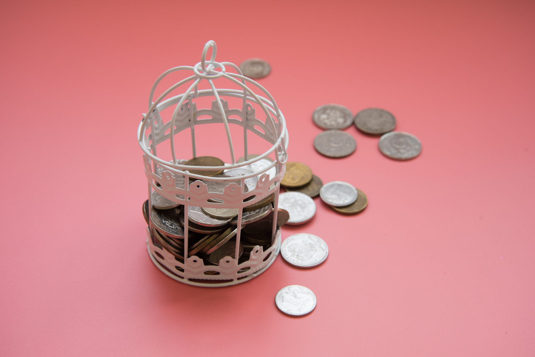 The door of the birdcage is open. The money broke free. The concept of investing money. The concept of losing money. Financial literacy. To lose the attachments. Bankruptcy, theft